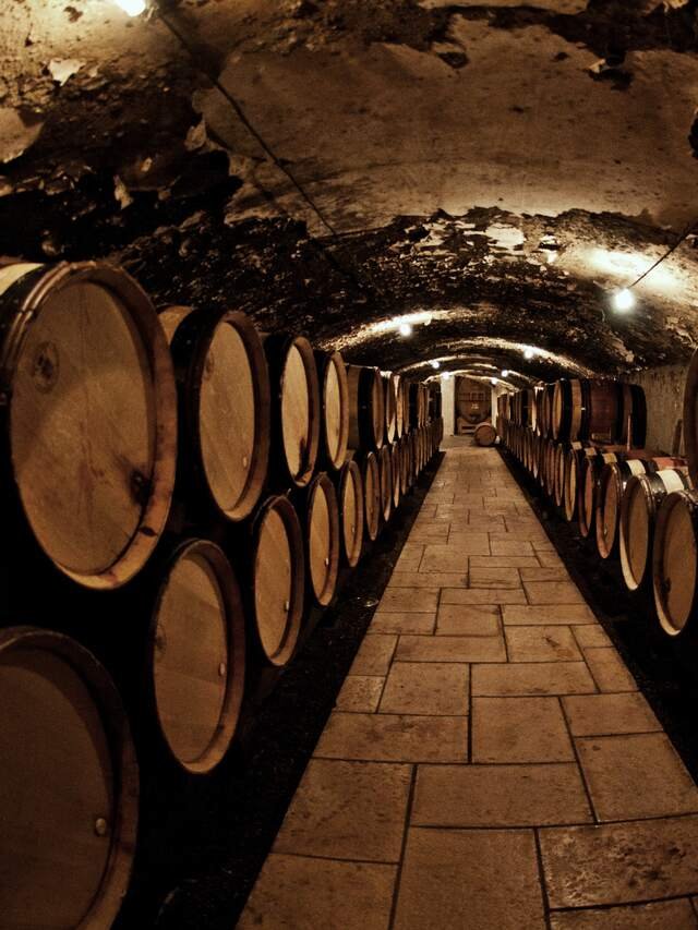 The vaulted cellar: barrels stacked two high along a stone floor, lamps on the rough ceiling.