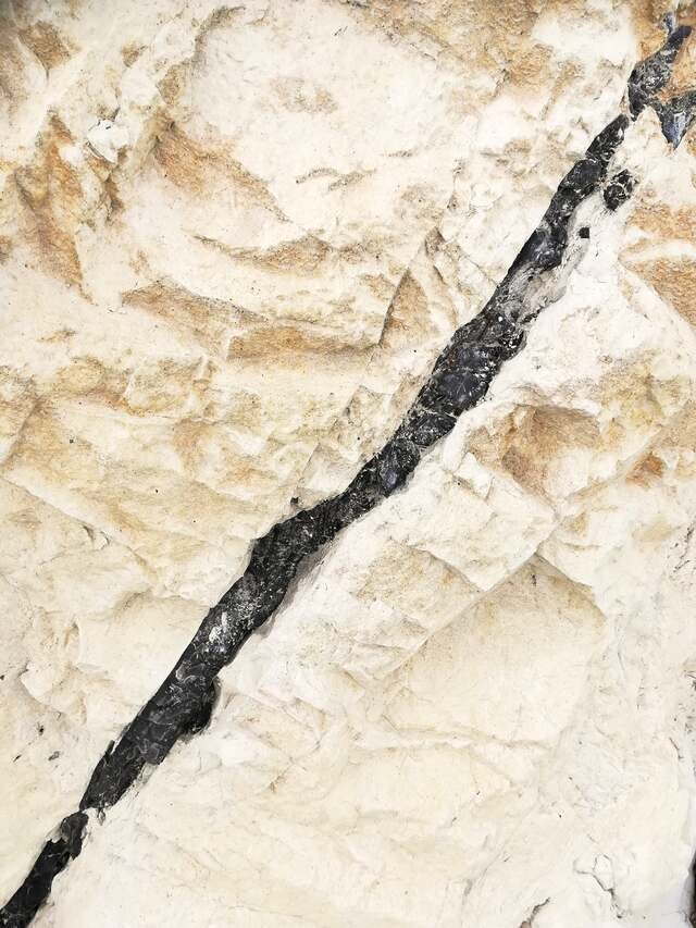 A face of white chalk crossed by a dark band of flint.