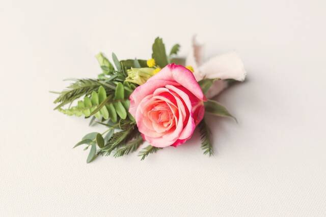A single coral rose buttonhole with green leaves, laid flat on white