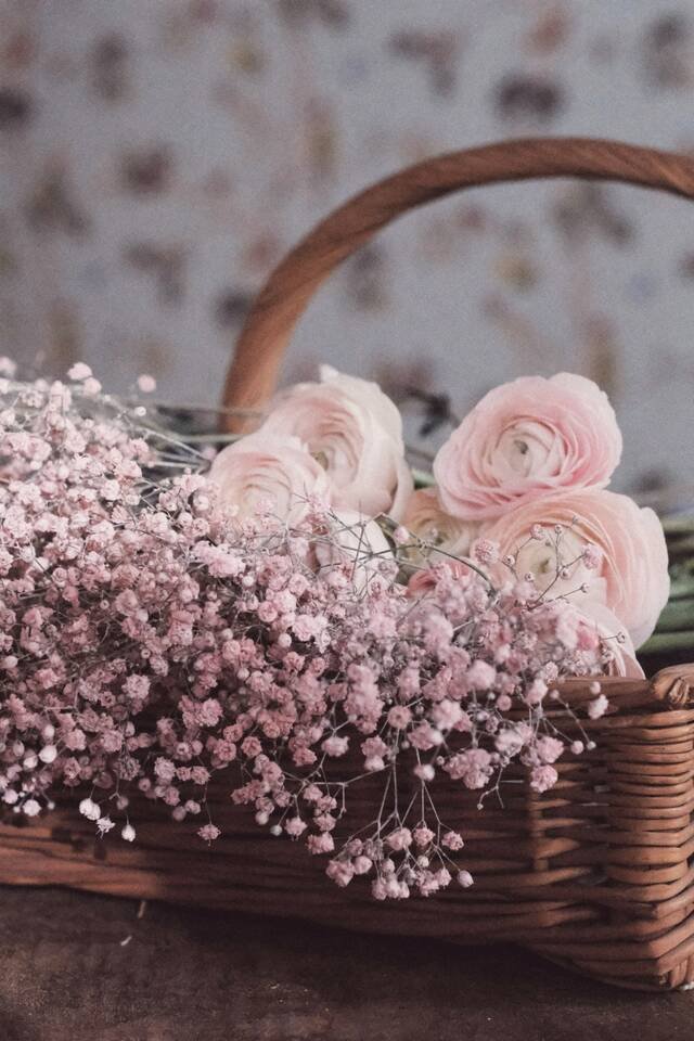 A woven basket of soft pink ranunculus and pink gypsophila