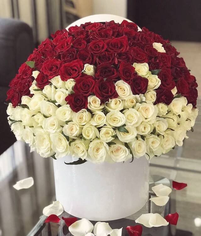A round box of roses, red over white, with a few loose petals around it