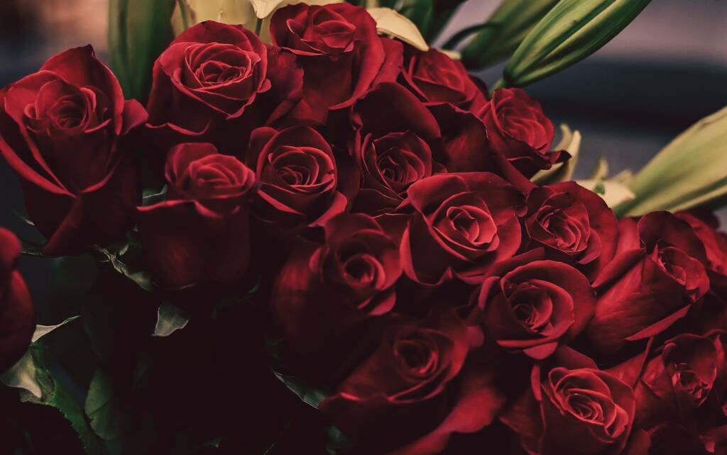 A full bunch of deep red roses, head to head, with lily buds behind