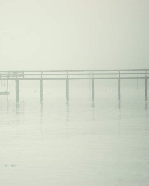 The boat landing in thick fog, its rail and posts standing in still water.