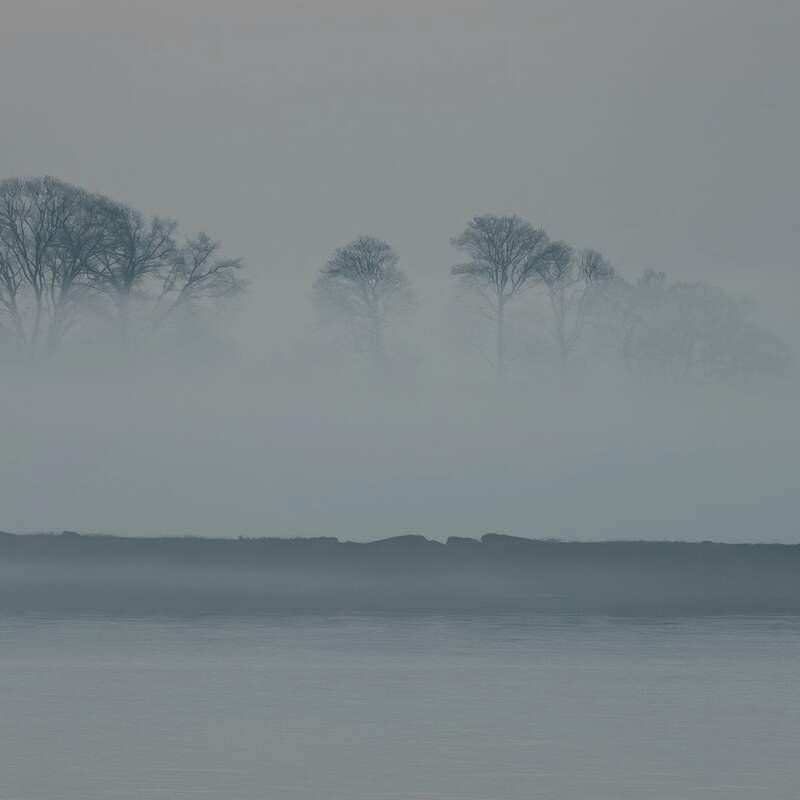 The estuary at Quellbridge before school: mist lying on the water and the far bank, its trees standing out of the fog.