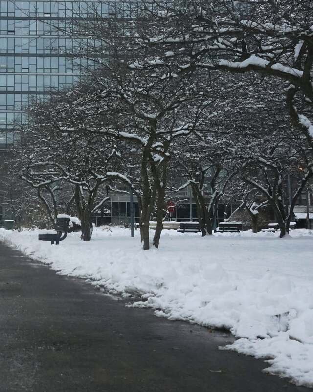 A cleared path between snowbanks leading to a glass office building.