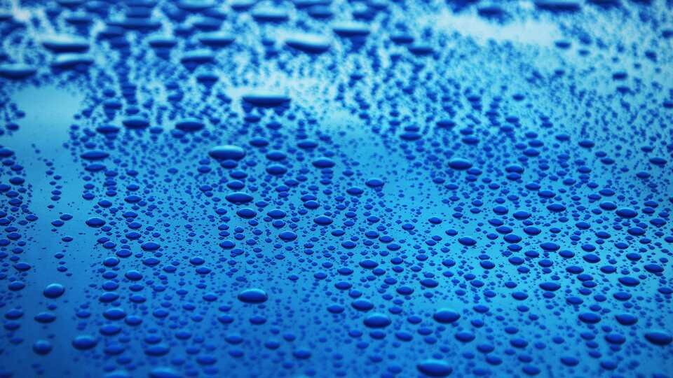 Close up on freshly protected blue paint: water gathered into hundreds of tight round beads.