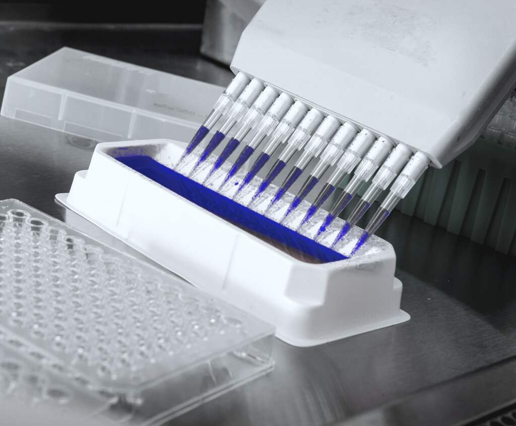 A twelve-channel pipette lifts deep blue reagent from a reservoir beside a clear 96-well plate.