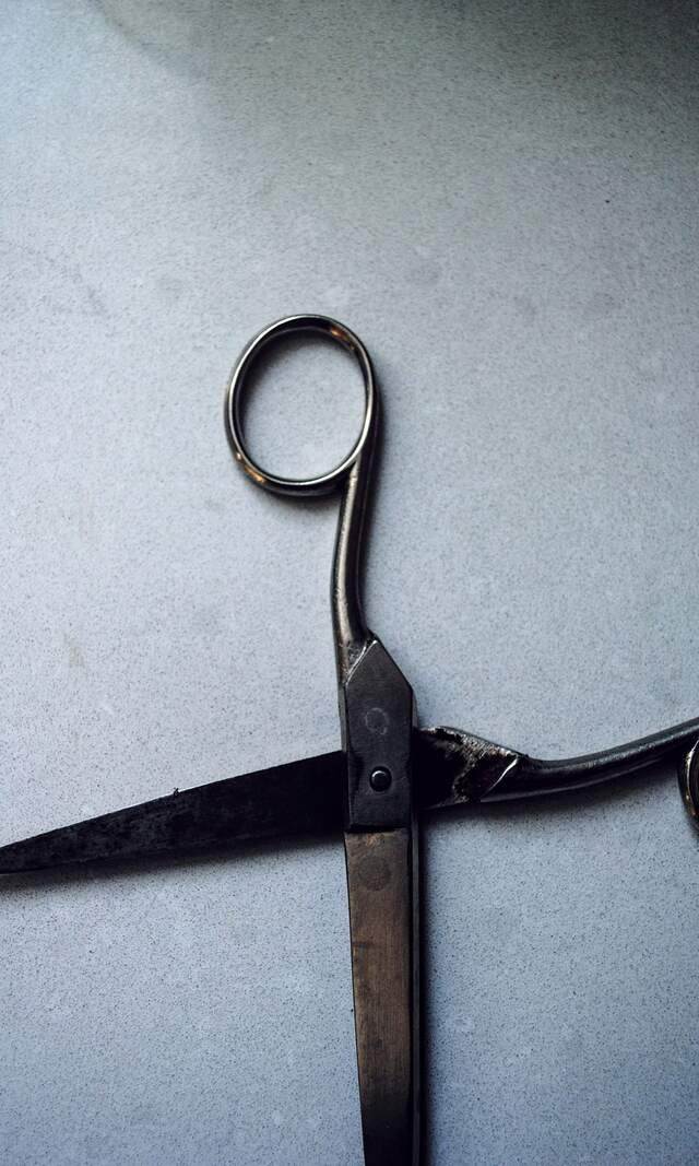 A pair of old forged cutting shears, open, on pale pattern card.