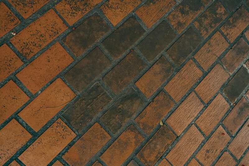 Herringbone brick paving from above, orange brick patched dark green and black with algae and grime in the joints.