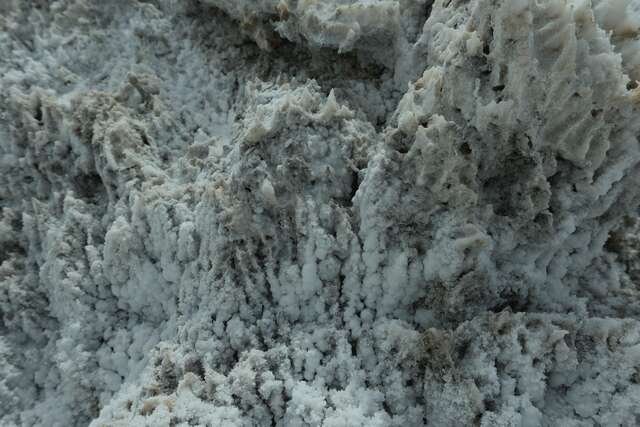 Sea salt grown into rough white crystals on the salt-room wall, close enough to touch.