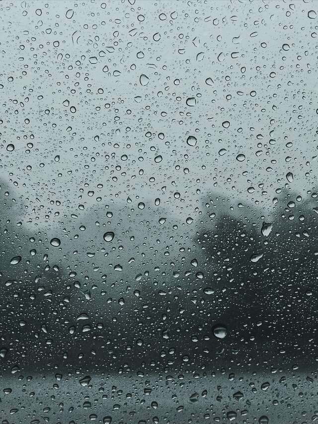 Rain on the window glass, the trees beyond blurred grey-green.