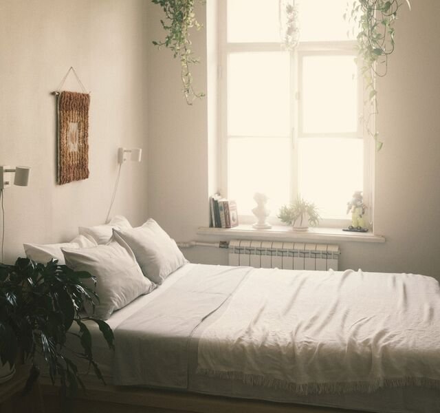 The bedroom of Residence 1.06: one tall sash window, trailing plants, a low bed in white linen.